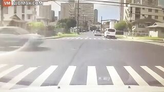 Honolulu Woman Didn't Notice Dog Jumping Out Window