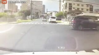 Honolulu Woman Didn't Notice Dog Jumping Out Window