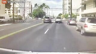 Honolulu Woman Didn't Notice Dog Jumping Out Window