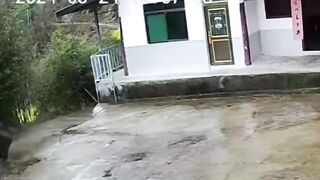 The Old Man Was Attacked By A Wild Boar But He Fought Back Bravely