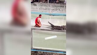 Another Victim At Pattaya Crocodile Exhibition