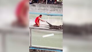 Another Victim At Pattaya Crocodile Exhibition