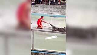Another Victim At Pattaya Crocodile Exhibition
