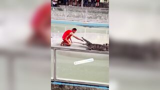 Another Victim At Pattaya Crocodile Exhibition