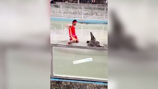 Another Victim At Pattaya Crocodile Exhibition