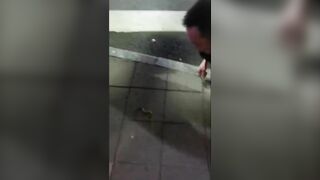 Playing With China's Most Venomous Snake Is Not A Good Idea