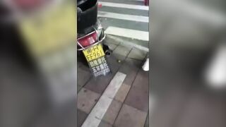 Playing With China's Most Venomous Snake Is Not A Good Idea