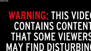 Horror Accident: Massacre In Morning Fog Leaves Four Dead