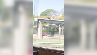 Idiot Hiker Falls Over Railing