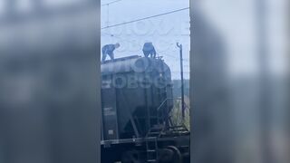 The Idiot On The Train Got Caught
