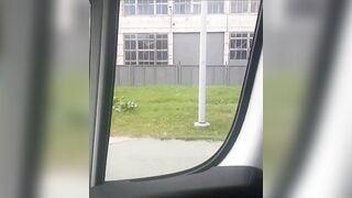 You Stop At The Bus Stop And Find This