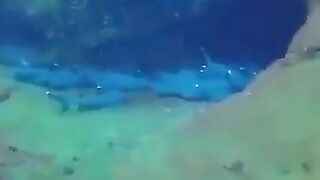 Resting Sharks Don't Rest