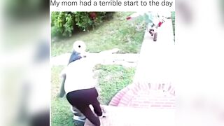 A Tough Morning