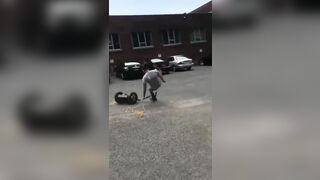 Segway Summary