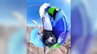 Skydiver Saves Himself By Just One Second In Fatal Accident