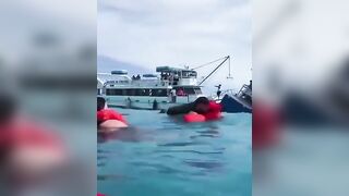 Ferry With 144 Passengers On Board Crashes In Bahamas