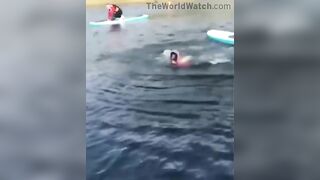 A Healthy Dose Of Humor In This Bleak World