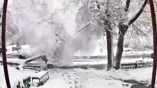 Snow Damage To Trees