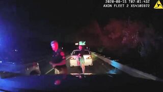 Dashcam Shows Driver Ramming Police Car During Traffic Stop