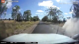 The Driver Lost Control After Trying To Overtake