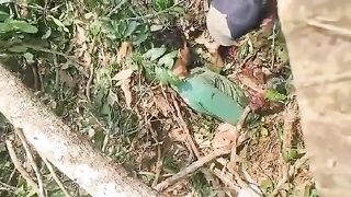 Man Crushed To Death By Tree