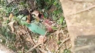 Man Crushed To Death By Tree