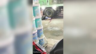Man Crushed To Death By Truck Tire