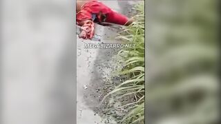 Man Torn To Pieces By Truck