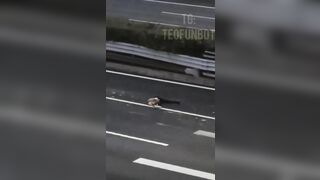 Man Hit By Car But No One Cares
