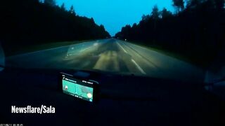 Moose Suddenly Appeared And Hit The Car