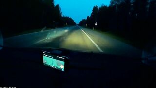 Moose Suddenly Appeared And Hit The Car