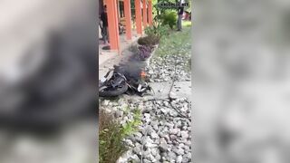 Motorcyclist Killed In Serious Accident