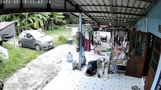 A Man Was Sleeping When His Dog Tried To Warn Him, But The Snake Attacked Him