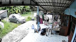 A Man Was Sleeping When His Dog Tried To Warn Him, But The Snake Attacked Him