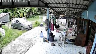 A Man Was Sleeping When His Dog Tried To Warn Him, But The Snake Attacked Him