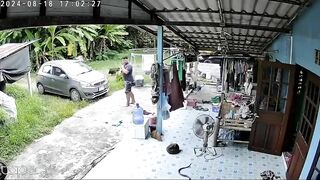 A Man Was Sleeping When His Dog Tried To Warn Him, But The Snake Attacked Him