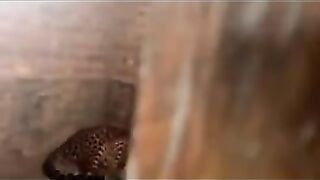 Surprise