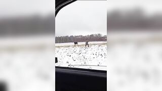 The Hunter Becomes The Hunted
