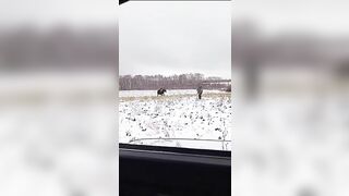 The Hunter Becomes The Hunted