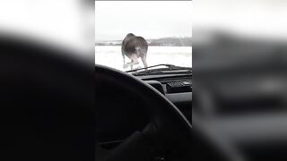 The Hunter Becomes The Hunted