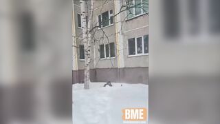 In Other Countries, This Would Be Considered Suicide.
