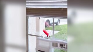 This Is Why You Should Never Punch A Window Out Of Anger