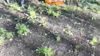 Playing With Beer Barrels