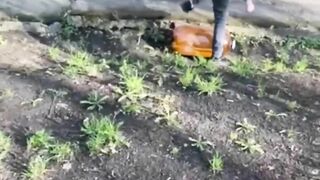 Playing With Beer Barrels