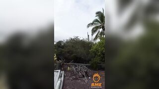 After This Landing, The Tree Surgeon Needs A Real Surgeon