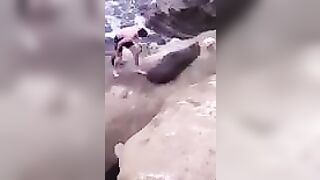 Try Hugging A Seal