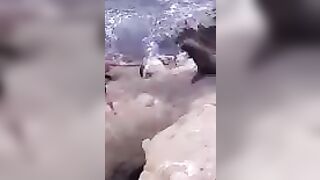 Try Hugging A Seal