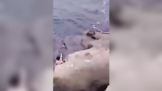 Try Hugging A Seal