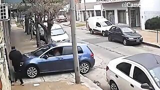 Attempted Car Theft