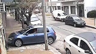 Attempted Car Theft